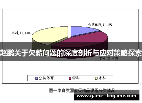 赵鹏关于欠薪问题的深度剖析与应对策略探索