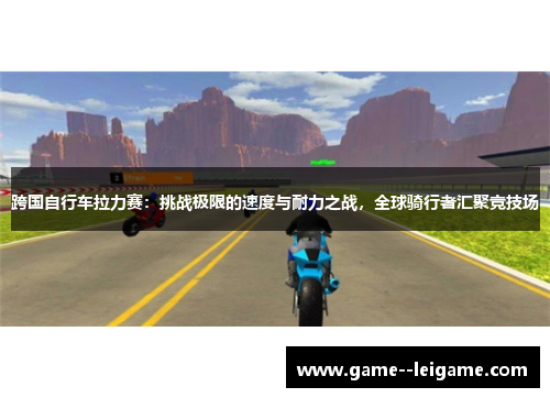 跨国自行车拉力赛：挑战极限的速度与耐力之战，全球骑行者汇聚竞技场