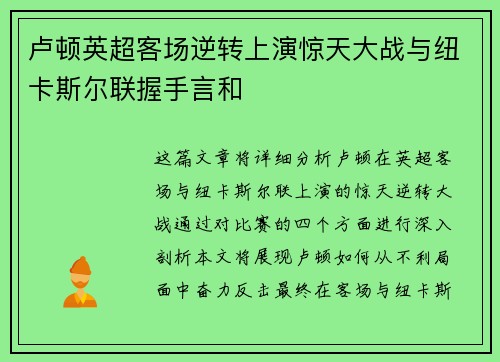 卢顿英超客场逆转上演惊天大战与纽卡斯尔联握手言和 卢顿英超客场逆转上演惊天大战与纽卡斯尔联握手言和